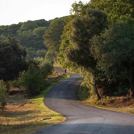 Porto Saint Stephanos